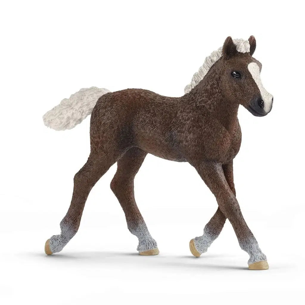 Black Forest Foal-Schleich-The Red Balloon Toy Store