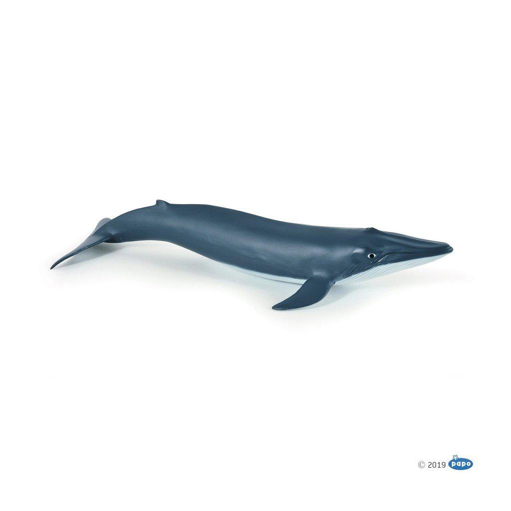 Blue Whale Calf-Papo-The Red Balloon Toy Store