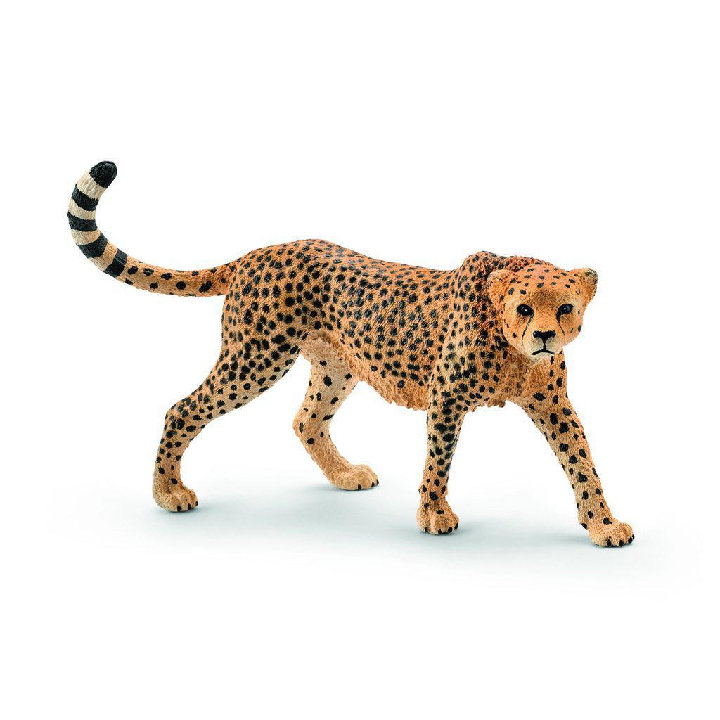 Cheetah, Female-Schleich-The Red Balloon Toy Store