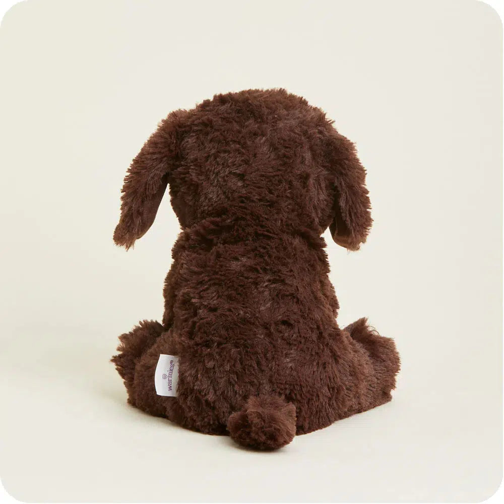 Chocolate Lab - Warmies-Warmies-The Red Balloon Toy Store
