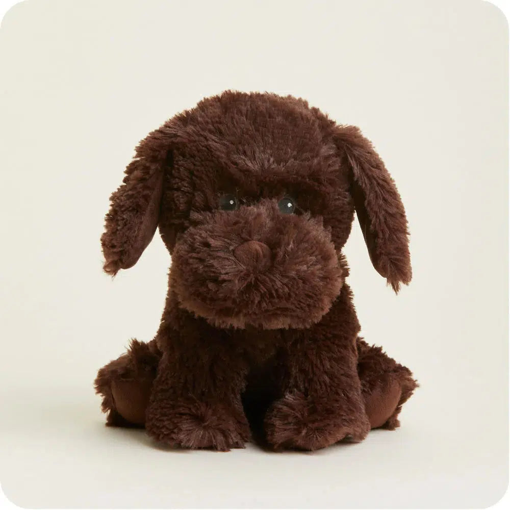 Chocolate Lab - Warmies-Warmies-The Red Balloon Toy Store