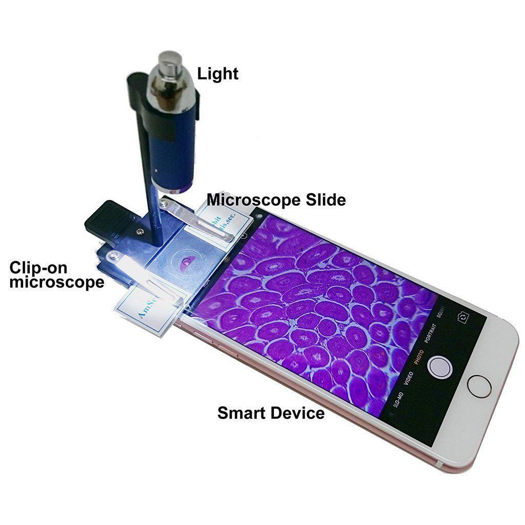 Smartphone Microscope 