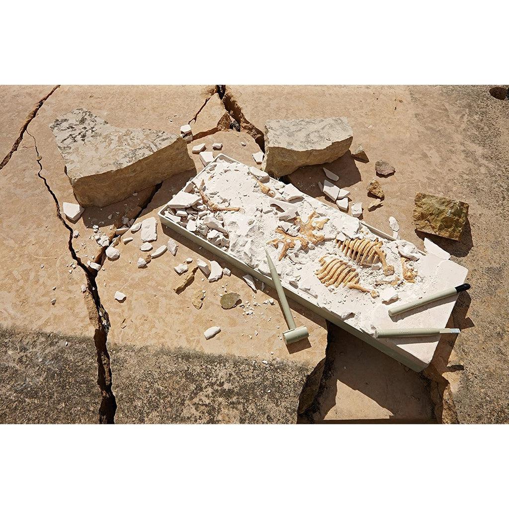 Toy example | Partially broken plaster slab with dinosaur bones showing through broken areas. Tools sit in top of plaster slab.