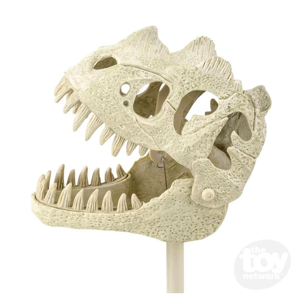 Dinosaur Fossil Snapper-The Toy Network-The Red Balloon Toy Store