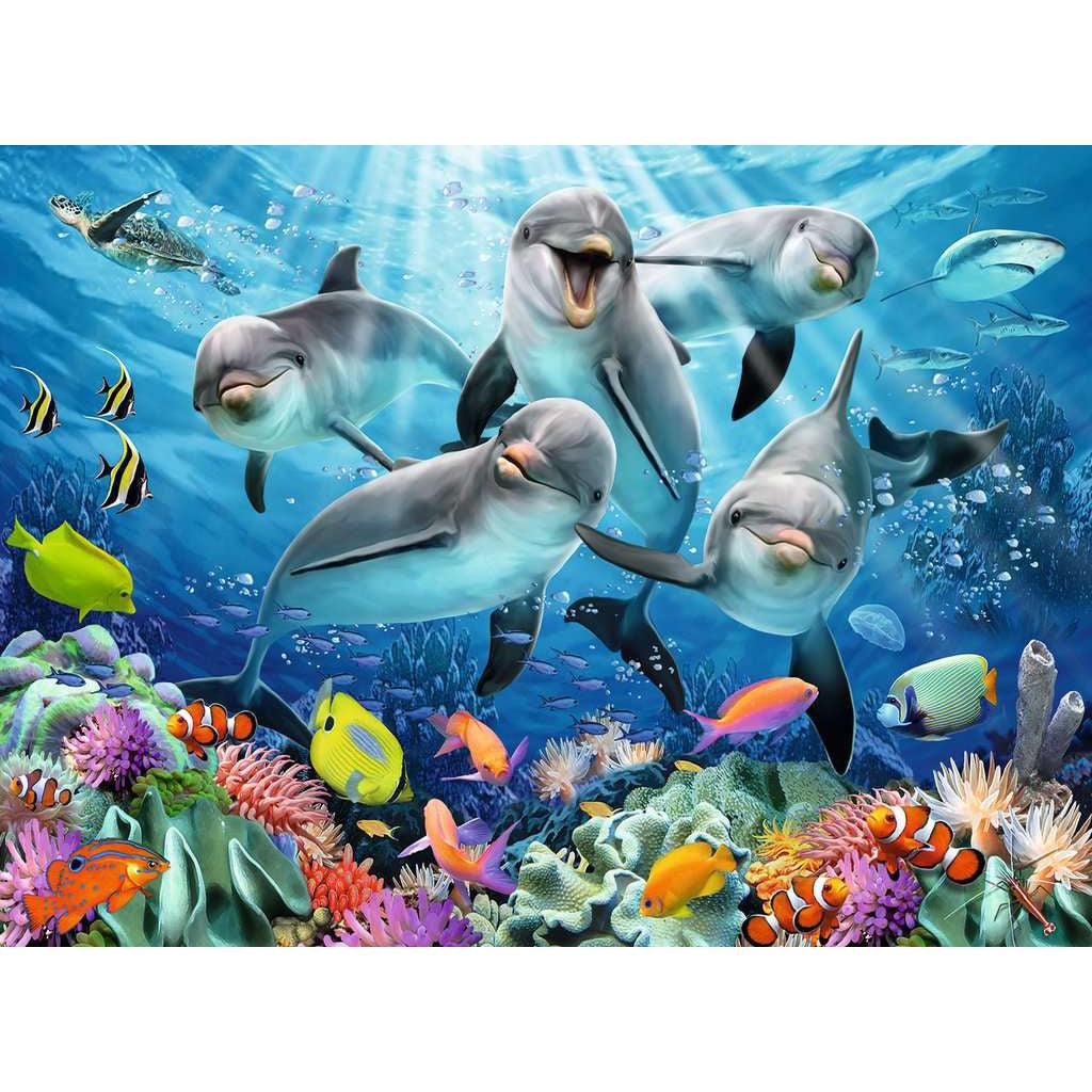 Puzzle image | A pod of five dolphins swims above a colorful coral reef | Sunlight streams down into the water as a turtle and shark swim in the background.