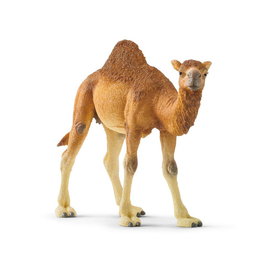 Dromedary-Schleich-The Red Balloon Toy Store