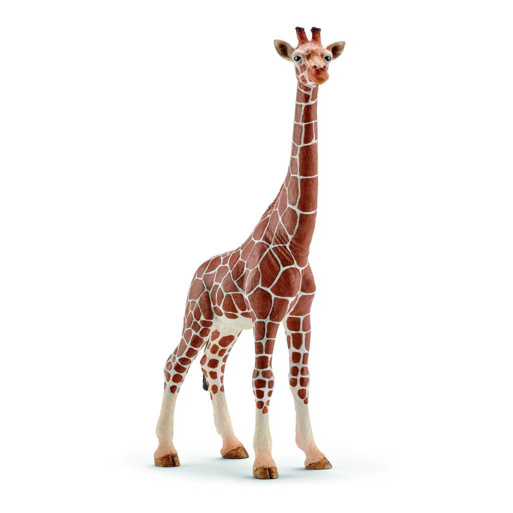 Giraffe, Female-Schleich-The Red Balloon Toy Store
