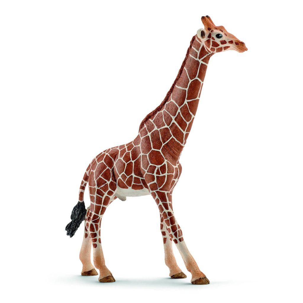 Giraffe, Male-Schleich-The Red Balloon Toy Store