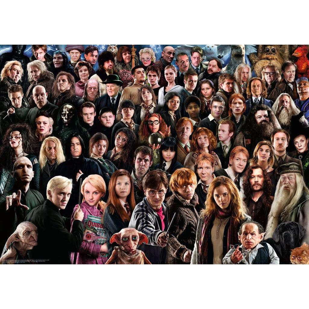 Puzzle image | Large collage of numerous characters from the Harry Potter franchise all looking toward the viewer and visible from the shoulders down.