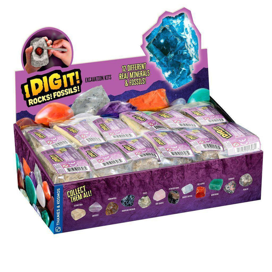 I DIG IT! Rocks & Fossils Mini Excavation Kits – The Red Balloon