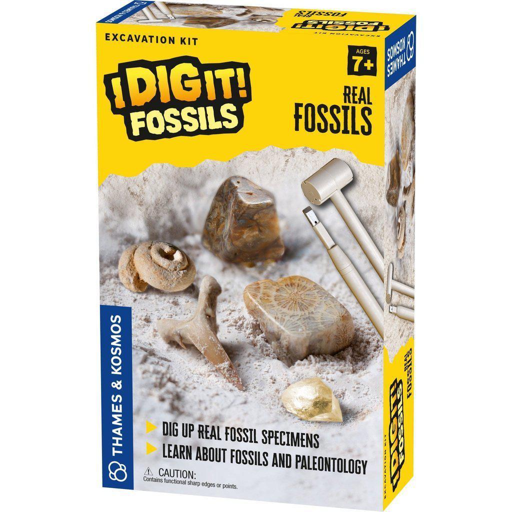 I Dig It! Fossils - Real Fossils Excavation Kit-Thames & Kosmos-The Red Balloon Toy Store
