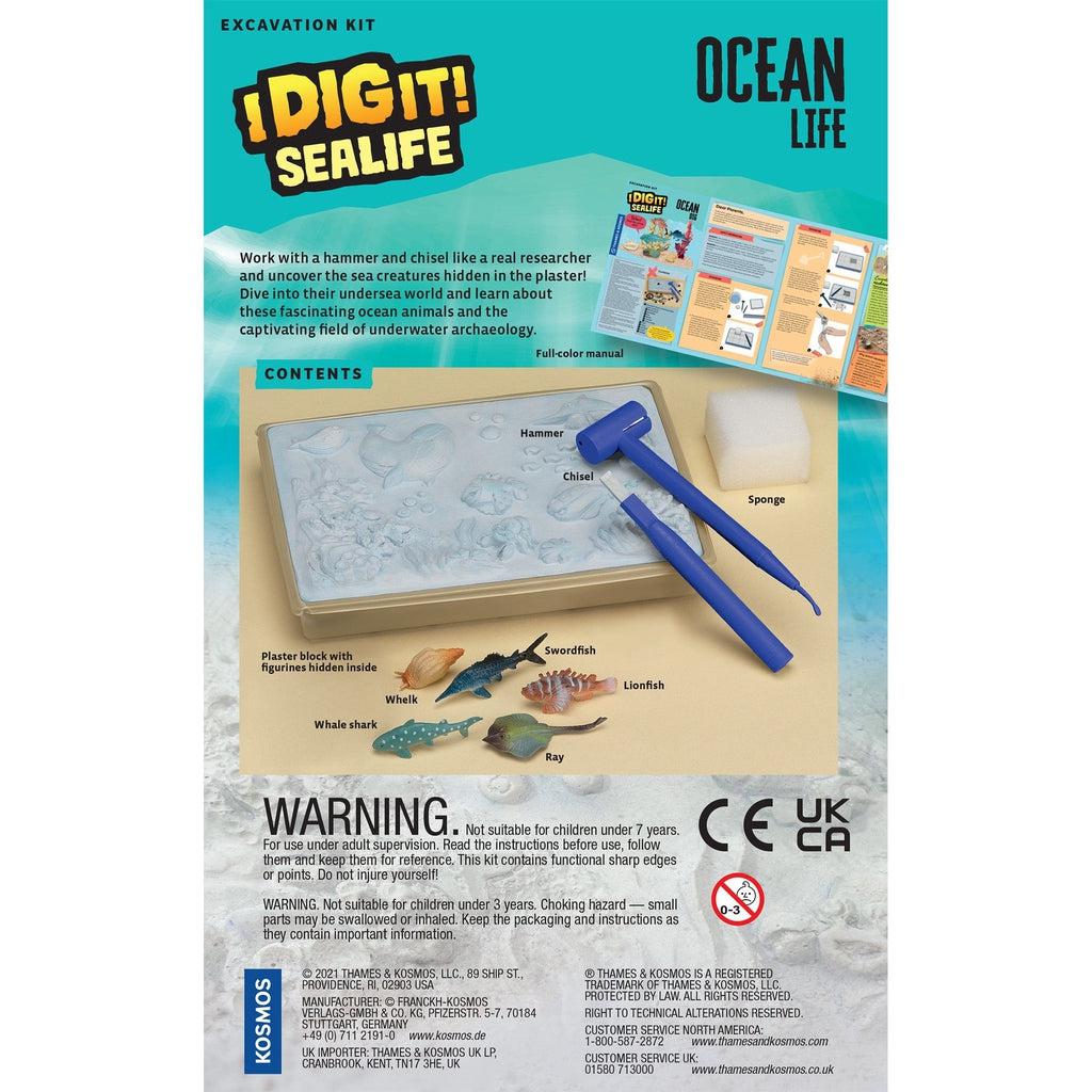 Back of packaging | Includes image of contents and description matching toy description provided.