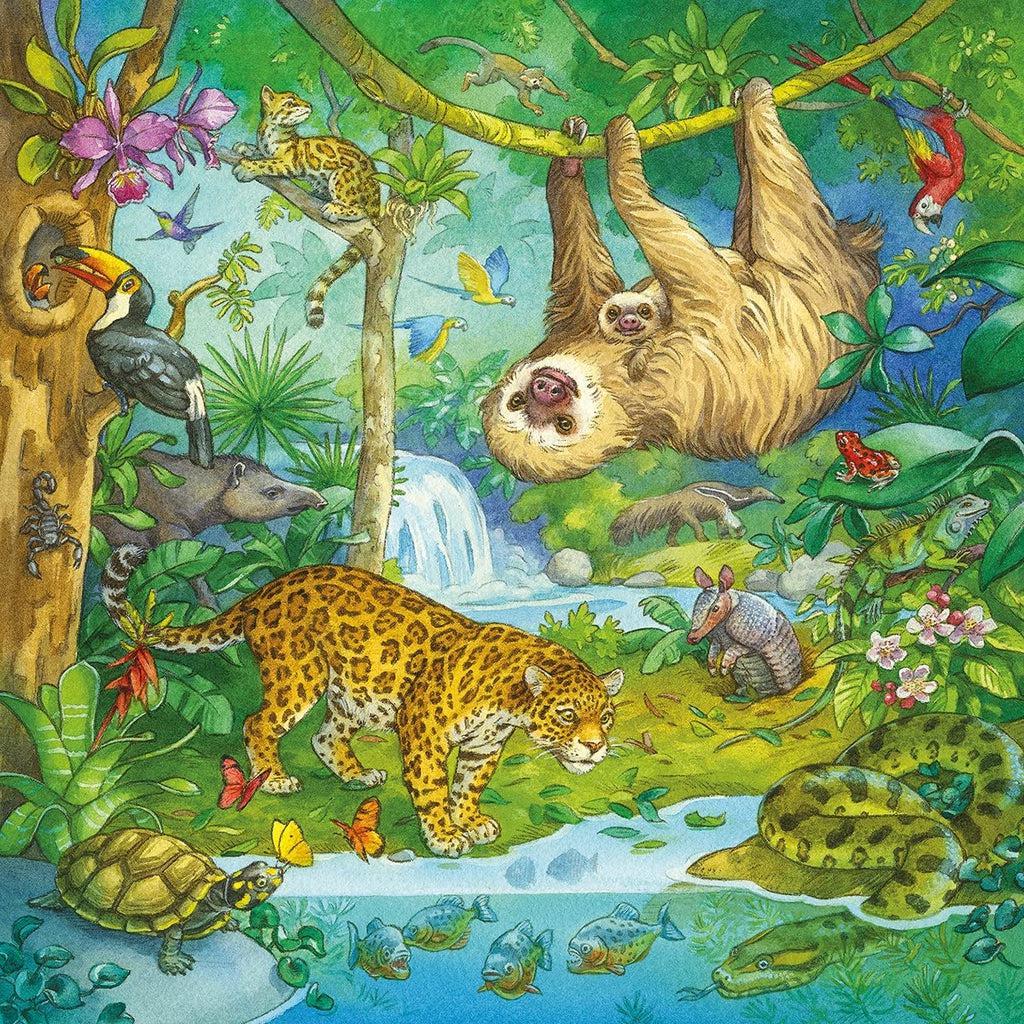 Puzzle 1 Image | Jungle scene with small waterfall in back and pond at front of image. | Animals such sloths, a jaguar, python, piranhas, tropical birds, an armadillo, an anteater and more can be seen. | Tropical plants fill the image.