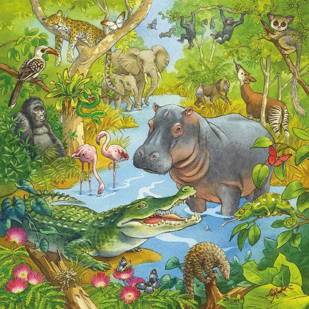 Puzzle 2 Image | A river moves down the center of the image with jungles and grass on both sides. | Animals visible in the image include a hippo, crocodile, apes and primates, tropical birds, elephants, a sleepy jaguar, tons of insects, and more. 