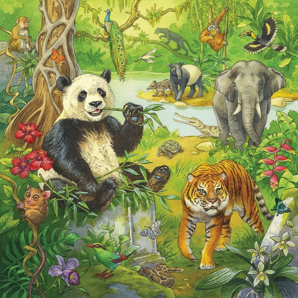 Puzzle 3 Image | Plant filled jungle scene with a small river visible in the back. | Animals visible include a panda, tiger, elephant, reptiles, primates, and a panther.