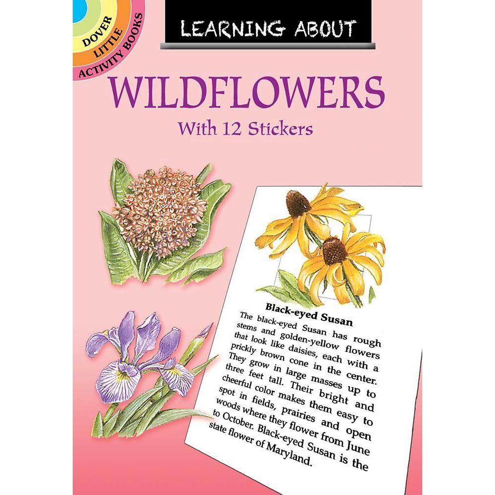 Learning About Wildflowers-Dover Publications-The Red Balloon Toy Store