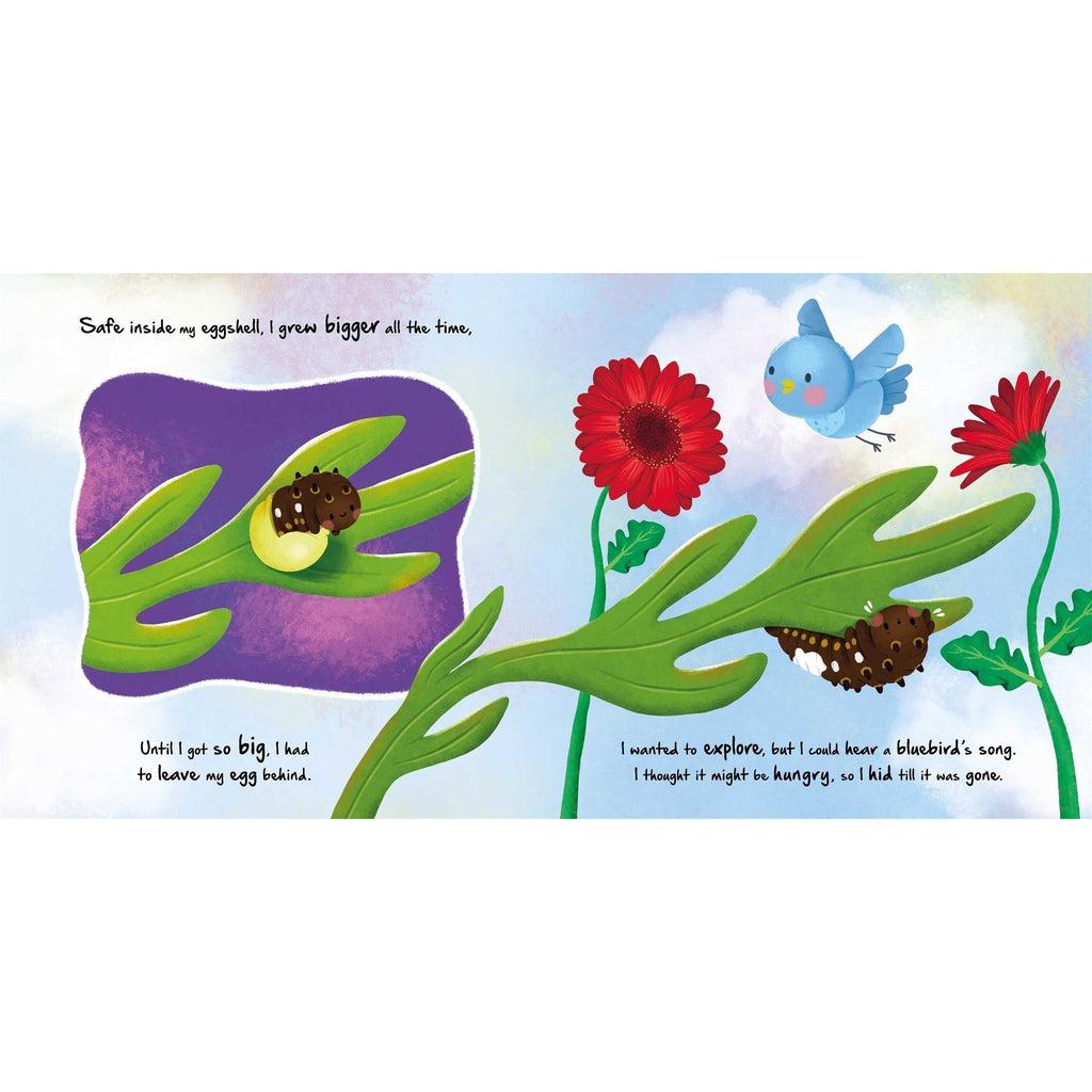 Example of one of the open pages in the book. It teaches about the life cycle of a caterpillar.
