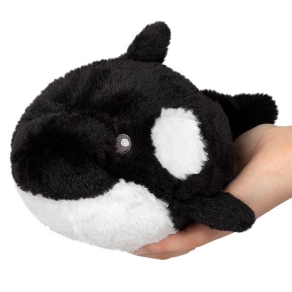 Image of the Orca Snacker squishable. It is a black and white whale plush.