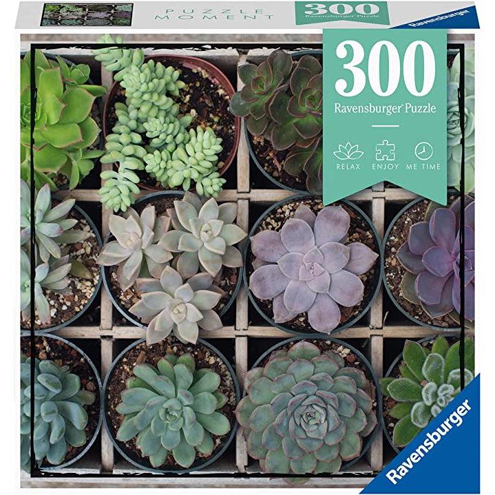 Puzzle box | Image on front is of a variety of potted succulents in a divider | 300pcs.