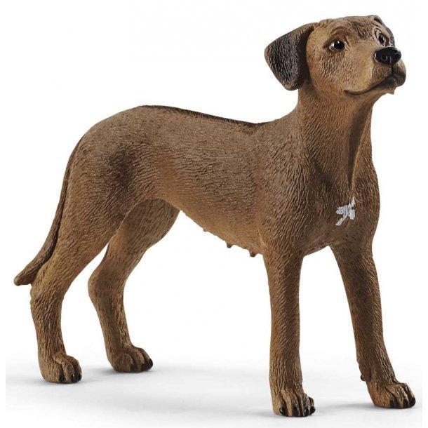 Image of the Rhodesian Ridgeback dog figurine. It is a dark brown dog with slightly darker tail and ears.