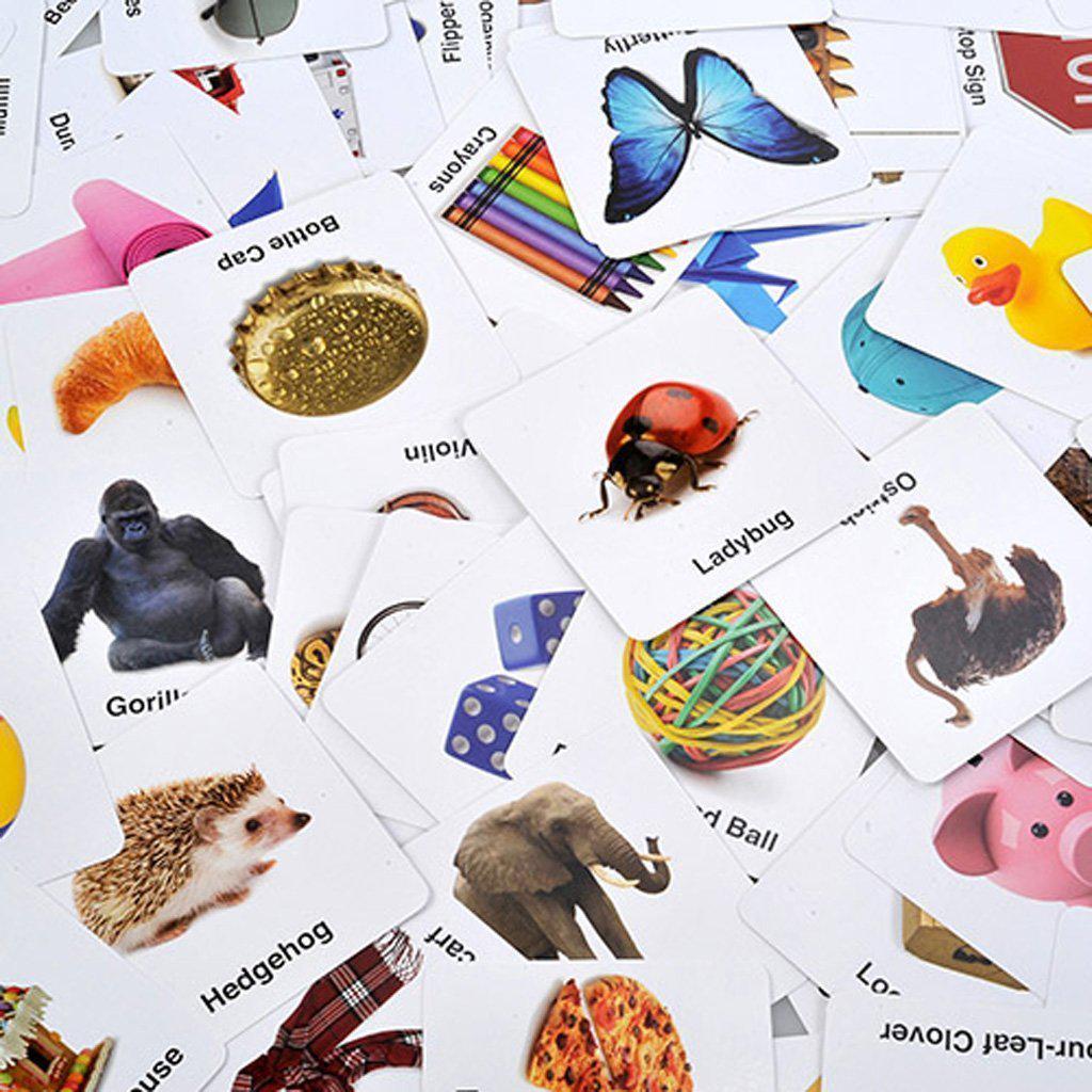 this image shows cards with pictures on it, like dice, a gorilla, ladybug and more