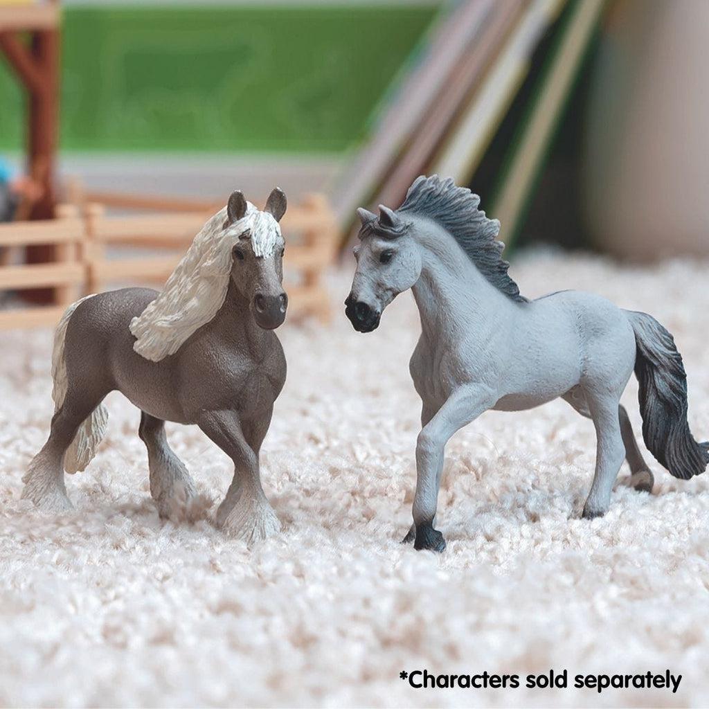 Sorraia Mustang Stallion-Schleich-The Red Balloon Toy Store