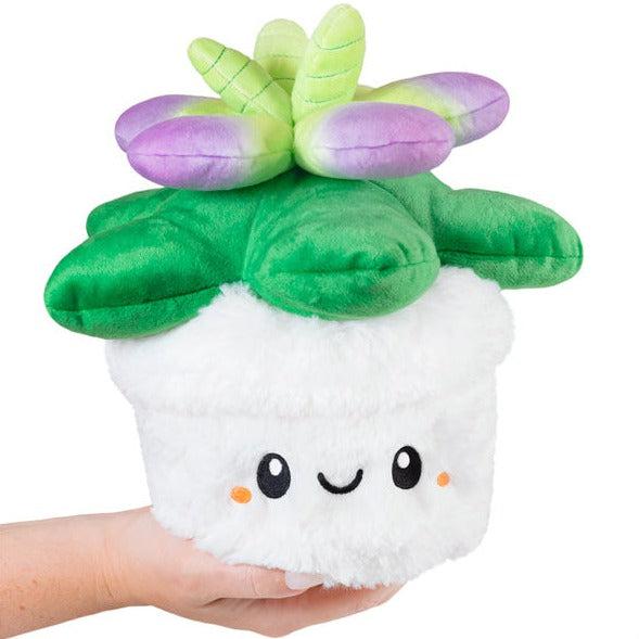 Succulent - Squishable-Squishable-The Red Balloon Toy Store