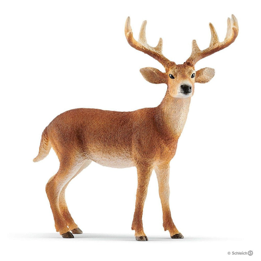 White-Tailed Buck-Schleich-The Red Balloon Toy Store